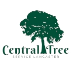 Central Tree Service Lancaster