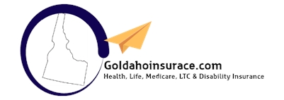 Goidahoinsurance.com
