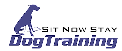 Sit Now Stay | Professional Dog Training & Care in Kansas City