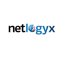  Netlogyx  IT